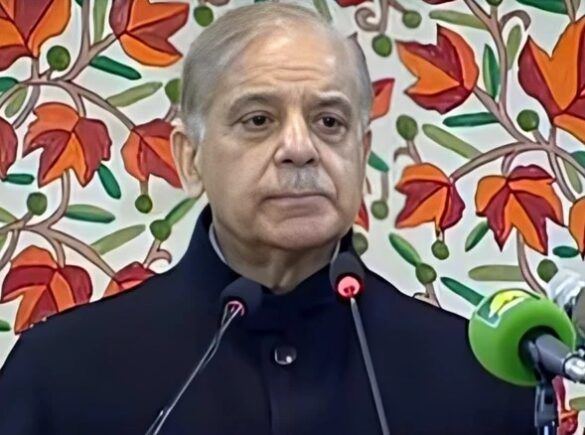 There will be no compromise on Kashmir's freedom, Shahbaz Sharif's categorical declaration