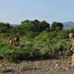 خیبر میں انٹیلیجنس بیسڈ آپریشن: 22 دہشت گرد ہلاک، فائرنگ سے 10 سالہ بچہ شہید