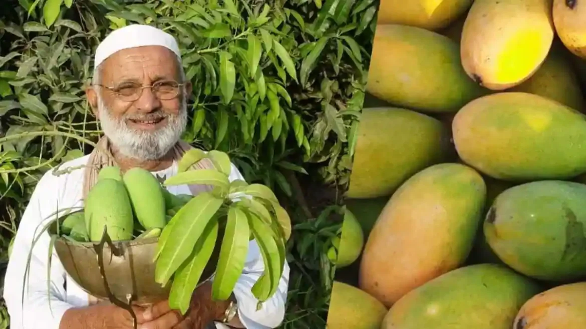 125 سالہ درخت نے ریکارڈ توڑ دیا، 350 اقسام کے آم پیدا ہونے لگے