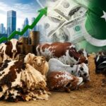 Sacrificial skins likely to generate billions of rupees in economic activity